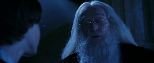 PF-Potterish_08183.jpg