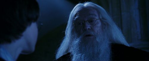 PF-Potterish_08185.jpg
