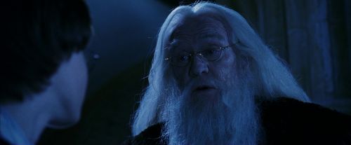 PF-Potterish_08186.jpg