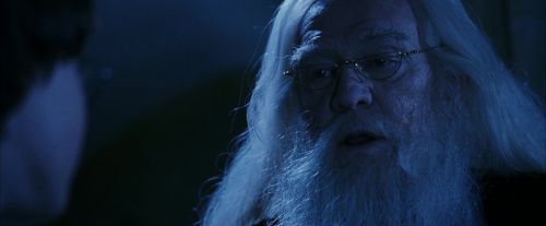 PF-Potterish_08234.jpg