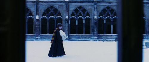 PF-Potterish_08255.jpg