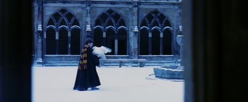 PF-Potterish_08260.jpg