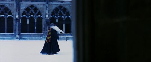 PF-Potterish_08261.jpg