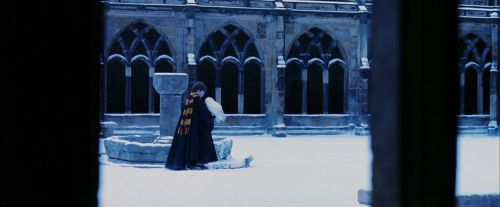 PF-Potterish_08269.jpg