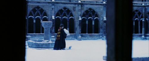 PF-Potterish_08270.jpg