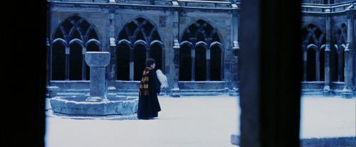 PF-Potterish_08272.jpg