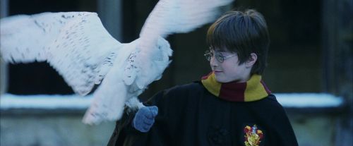 Click to view full size image
==============
PF-Potterish_08274.jpg PF-Potterish_08274.jpg