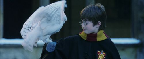 Click to view full size image
==============
PF-Potterish_08275.jpg PF-Potterish_08275.jpg