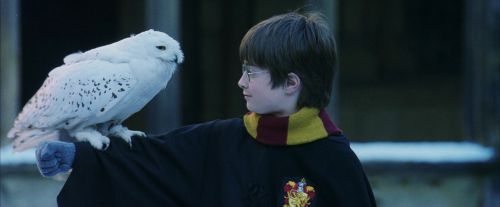 Click to view full size image
==============
PF-Potterish_08277.jpg PF-Potterish_08277.jpg