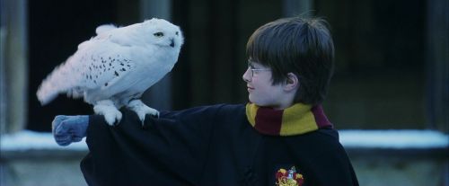 Click to view full size image
==============
PF-Potterish_08278.jpg PF-Potterish_08278.jpg