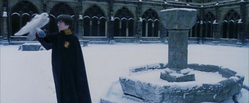 PF-Potterish_08279.jpg