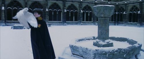 Click to view full size image
==============
PF-Potterish_08280.jpg PF-Potterish_08280.jpg