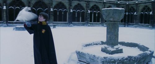 PF-Potterish_08282.jpg