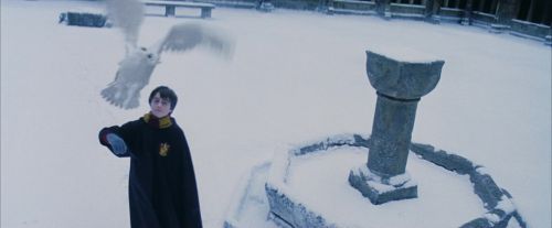 Click to view full size image
==============
PF-Potterish_08284.jpg PF-Potterish_08284.jpg