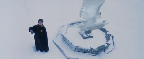 Click to view full size image
==============
PF-Potterish_08286.jpg PF-Potterish_08286.jpg