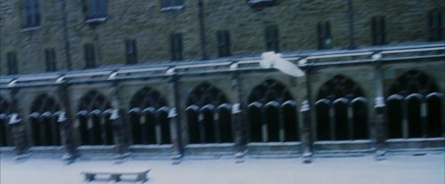PF-Potterish_08290.jpg