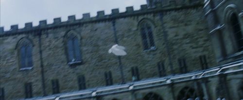 Click to view full size image
==============
PF-Potterish_08291.jpg PF-Potterish_08291.jpg
