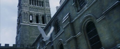 PF-Potterish_08293.jpg