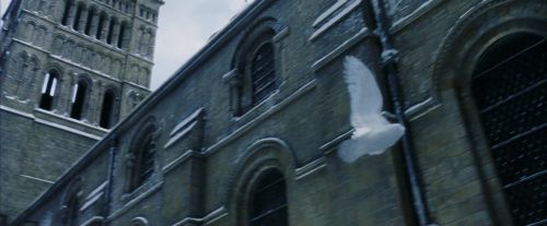 Click to view full size image
==============
PF-Potterish_08294.jpg PF-Potterish_08294.jpg