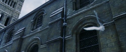 PF-Potterish_08295.jpg