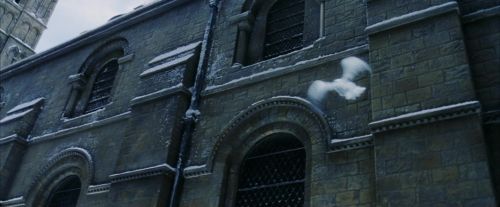 PF-Potterish_08296.jpg