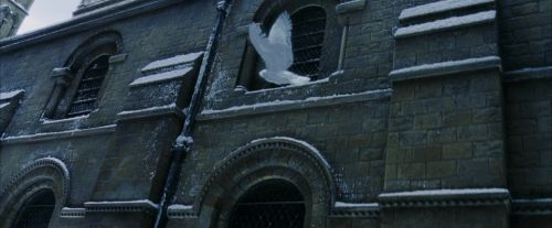 PF-Potterish_08297.jpg