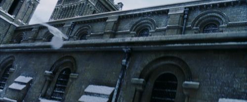 PF-Potterish_08299.jpg