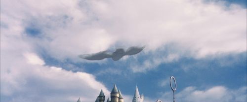 Click to view full size image
==============
PF-Potterish_08315.jpg PF-Potterish_08315.jpg