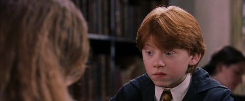 PF-Potterish_08403.jpg