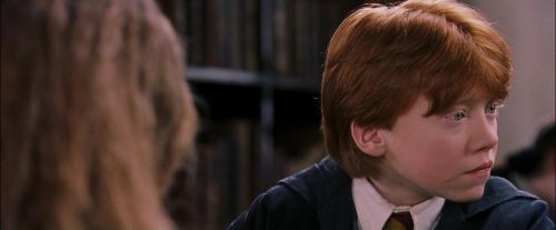 PF-Potterish_08417.jpg
