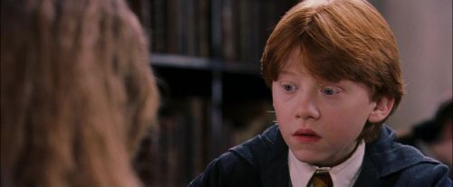 PF-Potterish_08418.jpg