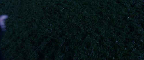 Click to view full size image
==============
PF-Potterish_08420.jpg PF-Potterish_08420.jpg