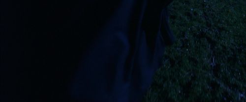 PF-Potterish_08422.jpg