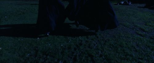 PF-Potterish_08425.jpg