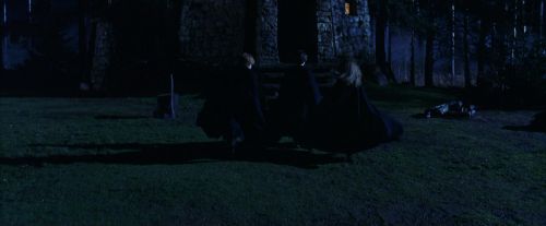 PF-Potterish_08427.jpg