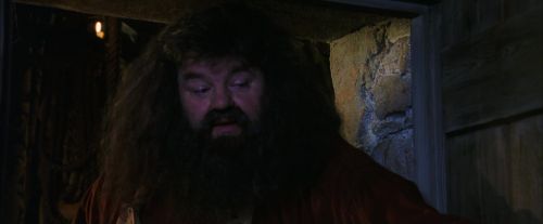 PF-Potterish_08441.jpg