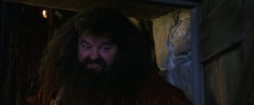 PF-Potterish_08445.jpg