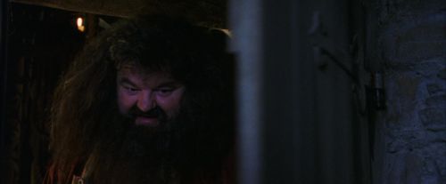 PF-Potterish_08446.jpg