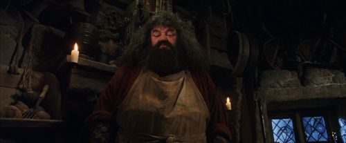 PF-Potterish_08471.jpg