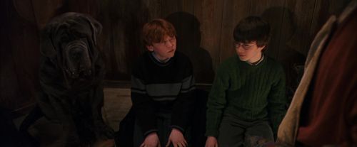 PF-Potterish_08475.jpg