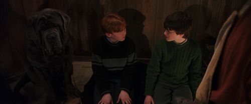 PF-Potterish_08476.jpg