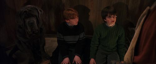 PF-Potterish_08477.jpg
