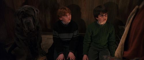 Click to view full size image
==============
PF-Potterish_08478.jpg PF-Potterish_08478.jpg