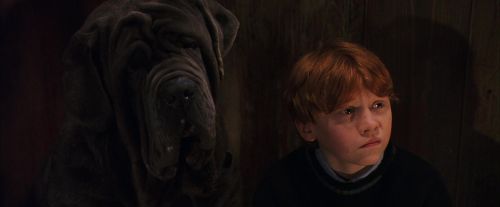 Click to view full size image
==============
PF-Potterish_08482.jpg PF-Potterish_08482.jpg