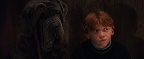 Click to view full size image
==============
PF-Potterish_08486.jpg PF-Potterish_08486.jpg