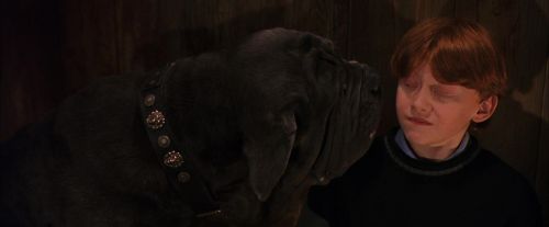 PF-Potterish_08500.jpg