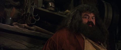 PF-Potterish_08501.jpg