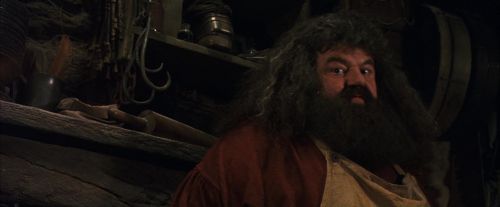 PF-Potterish_08502.jpg