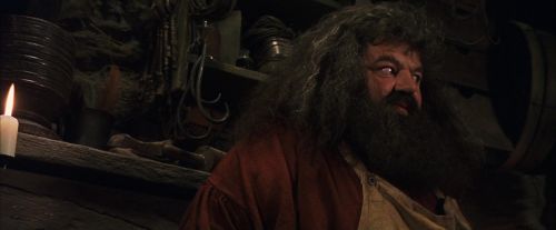 PF-Potterish_08504.jpg