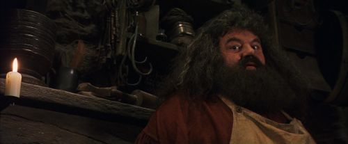 PF-Potterish_08506.jpg